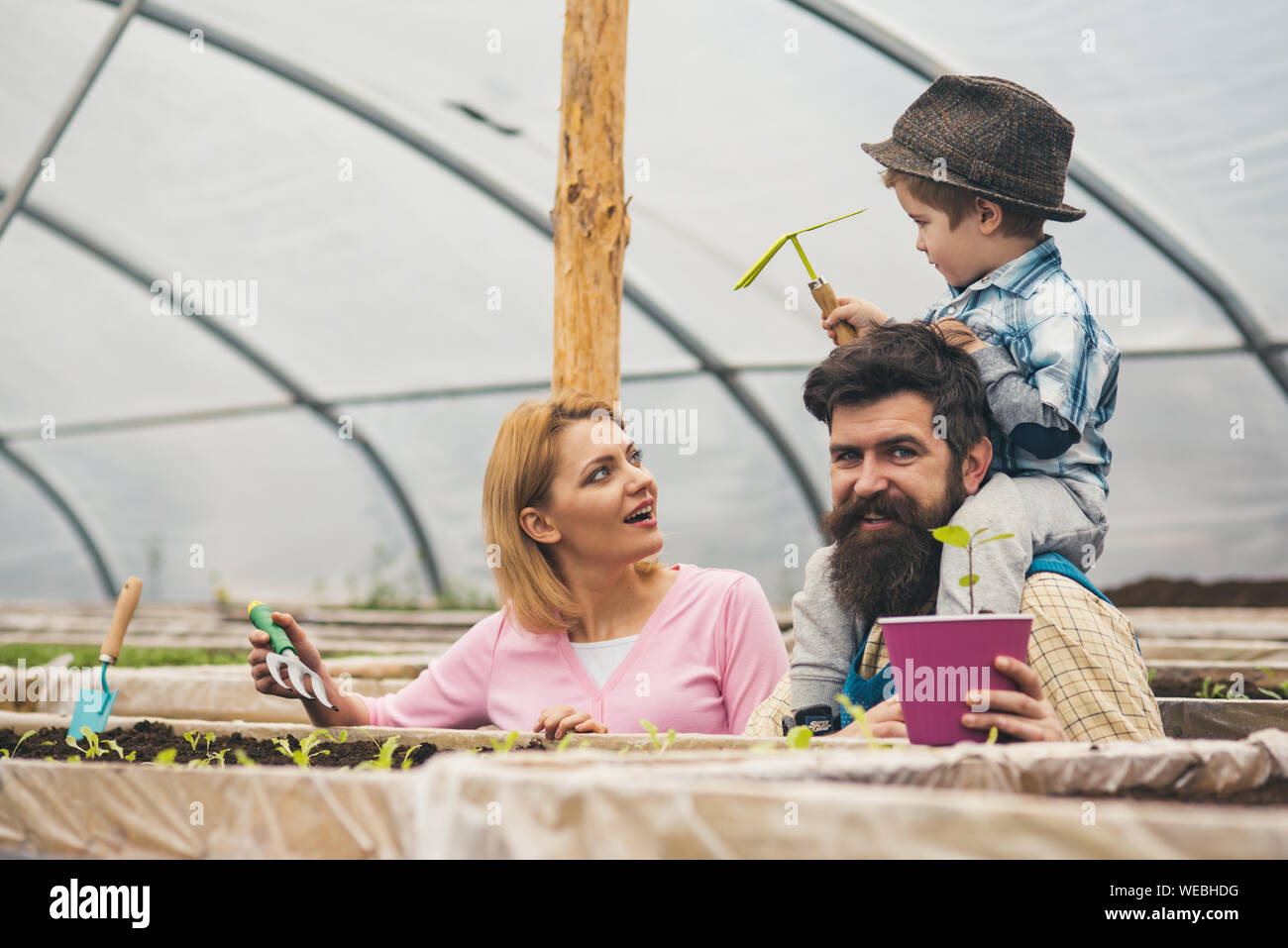 Brutstätte. Gewächshaus oder brutstätte. brutstätte Familie. die Eltern mit Kind Samen in Brutstätte, Pflanzen hydratisiert Stockfoto