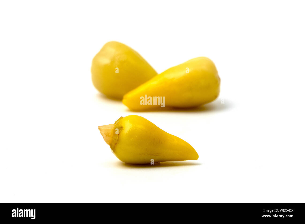 Torshi Chili peppers, einem traditionellen eingelegtes Gemüse der Küchen vieler Balkan und Naher Osten Länder Stockfoto