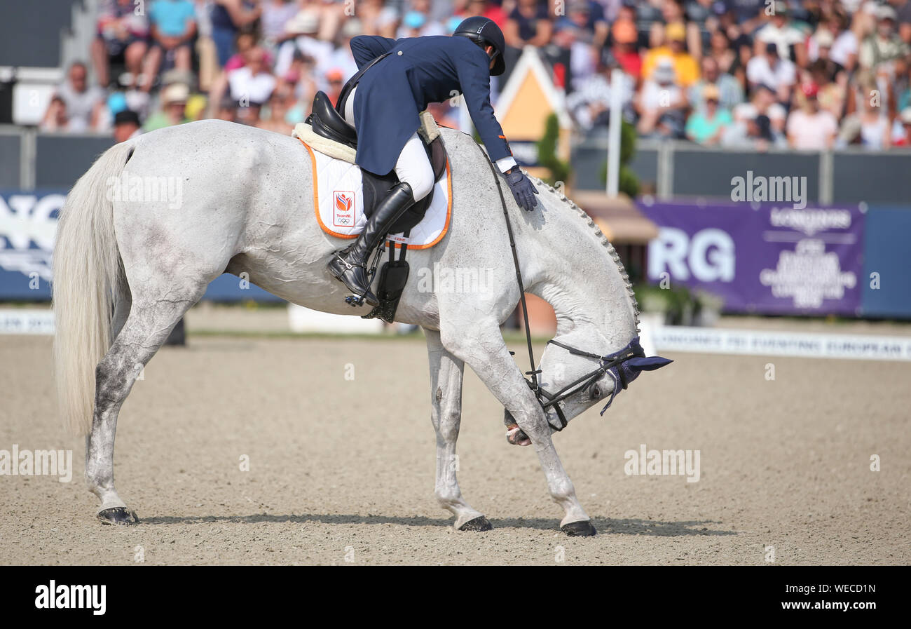 30. August 2019, Niedersachsen, Luhmühlen: Pferdesport, Eventing, Europäische Meisterschaft: Niederländische eventing rider Tim Lippen auf Bayro reitet in der Dressur. Foto: Friso Gentsch/dpa Stockfoto