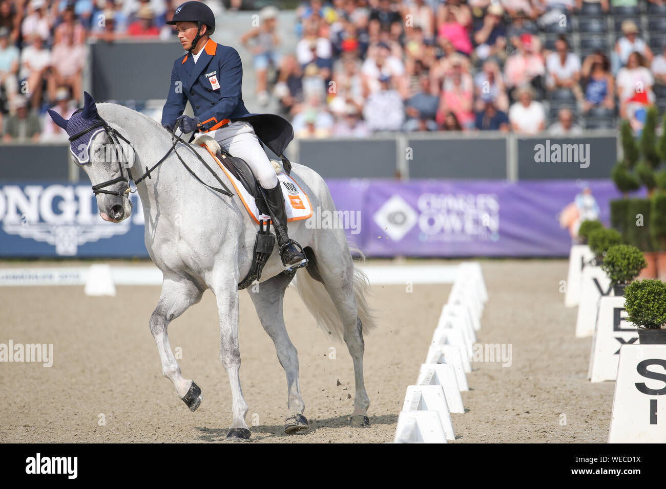 30. August 2019, Niedersachsen, Luhmühlen: Pferdesport, Eventing, Europäische Meisterschaft: Niederländische eventing rider Tim Lippen auf Bayro reitet in der Dressur. Foto: Friso Gentsch/dpa Stockfoto