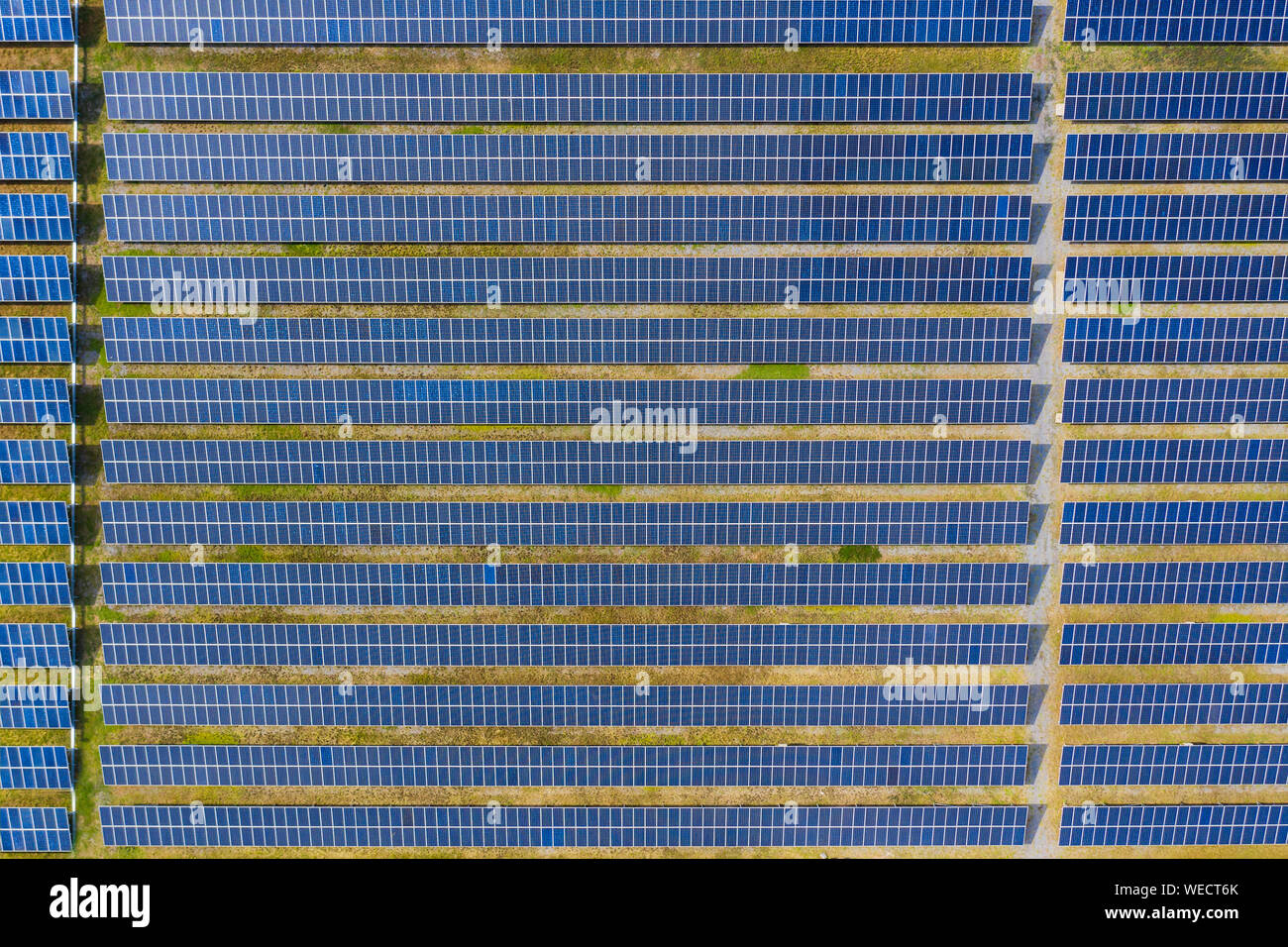 Solarenergie landwirtschaftlicher Betrieb mit sauberer, erneuerbarer Energie von der Sonne. Tausende von Sonnenkollektoren, Photovoltaik Solarzellen, riesige Solarparks. Stockfoto