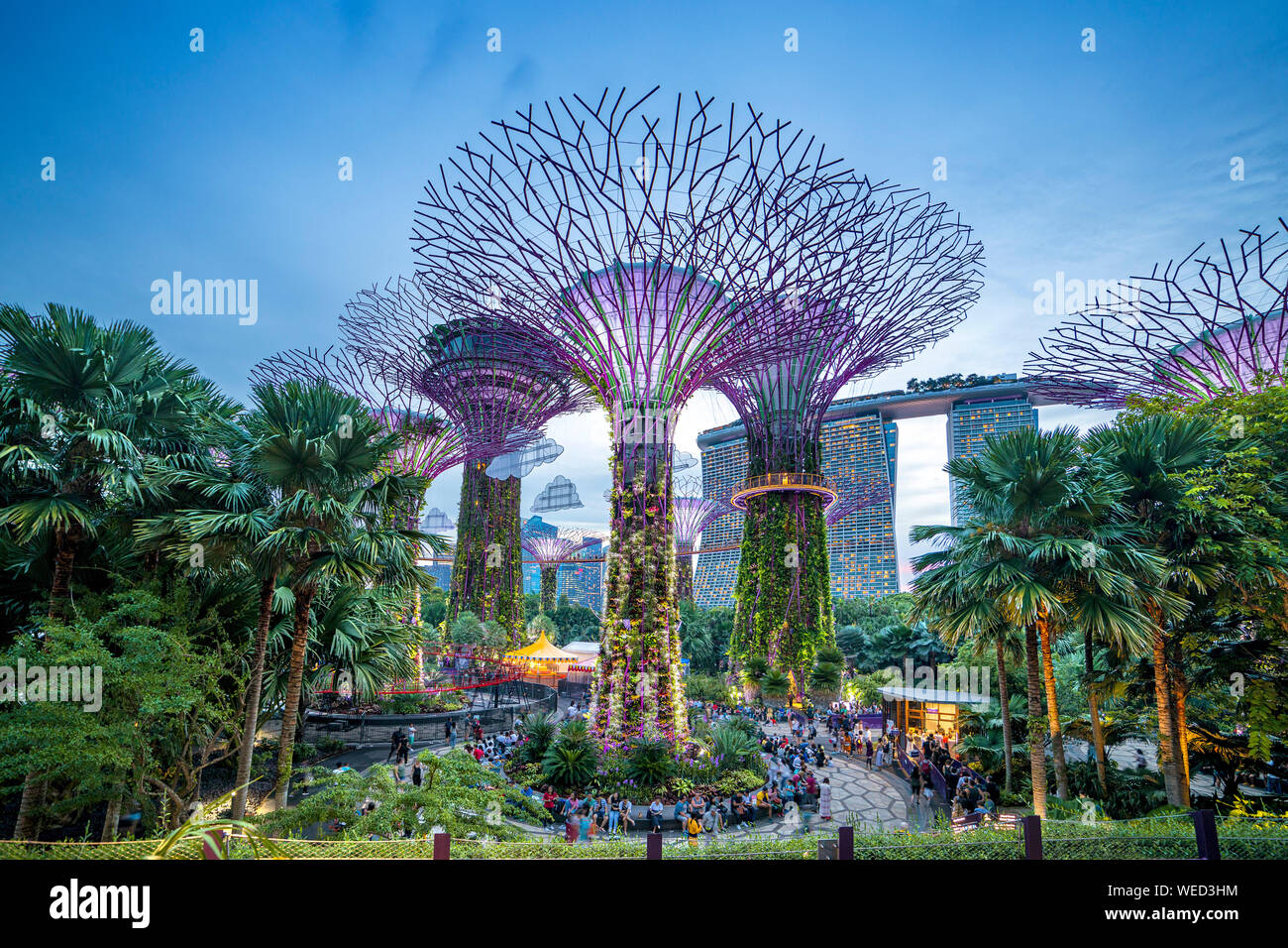 Singapur, Singapur - Juni 7, 2019: upertree der Gärten durch die Bucht in Singapur bei Nacht Stockfoto