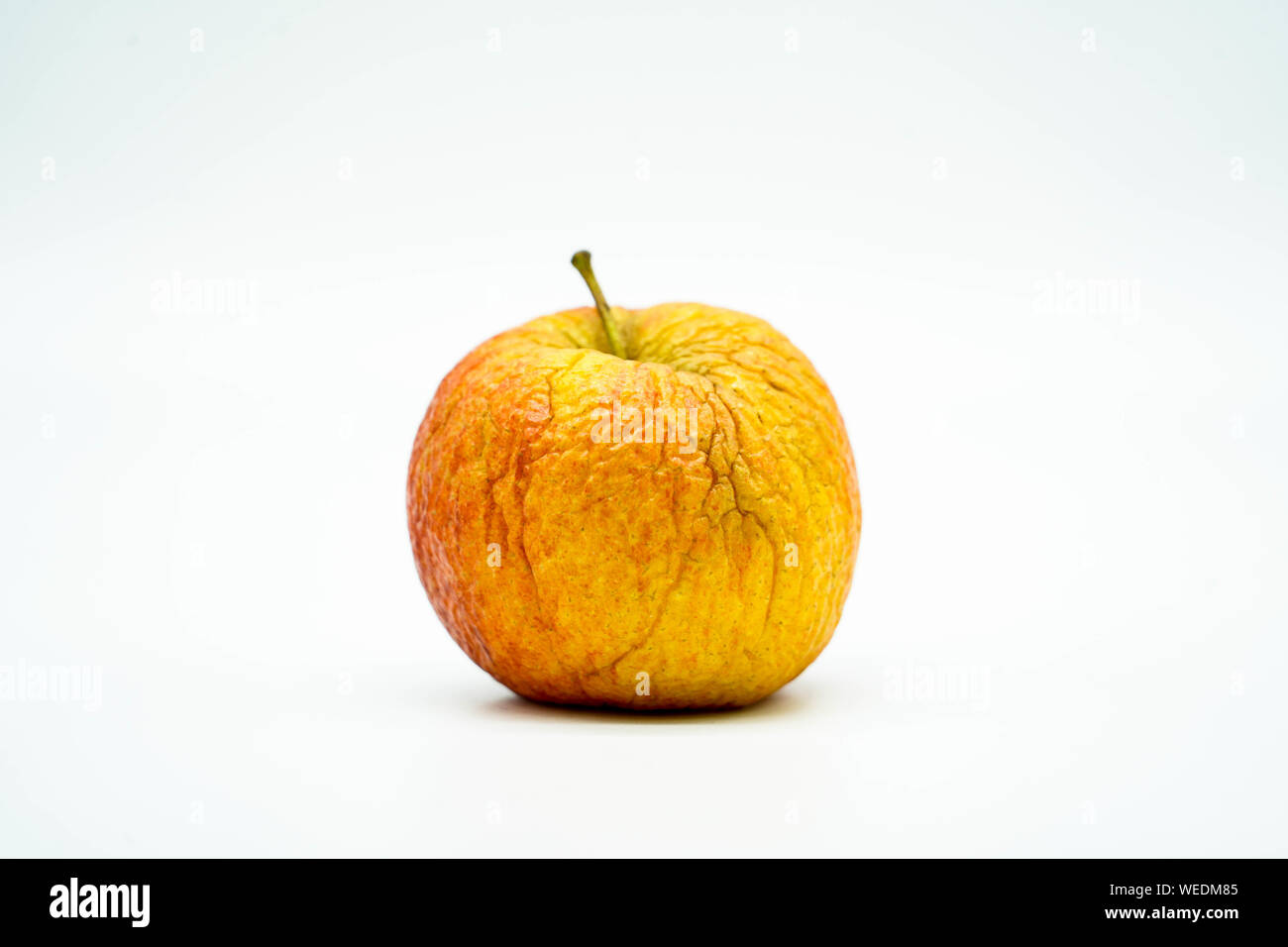 Faule Zerfall roter Apfel auf weißem Hintergrund. Ungesunde Nahrung für den Menschen. Stockfoto