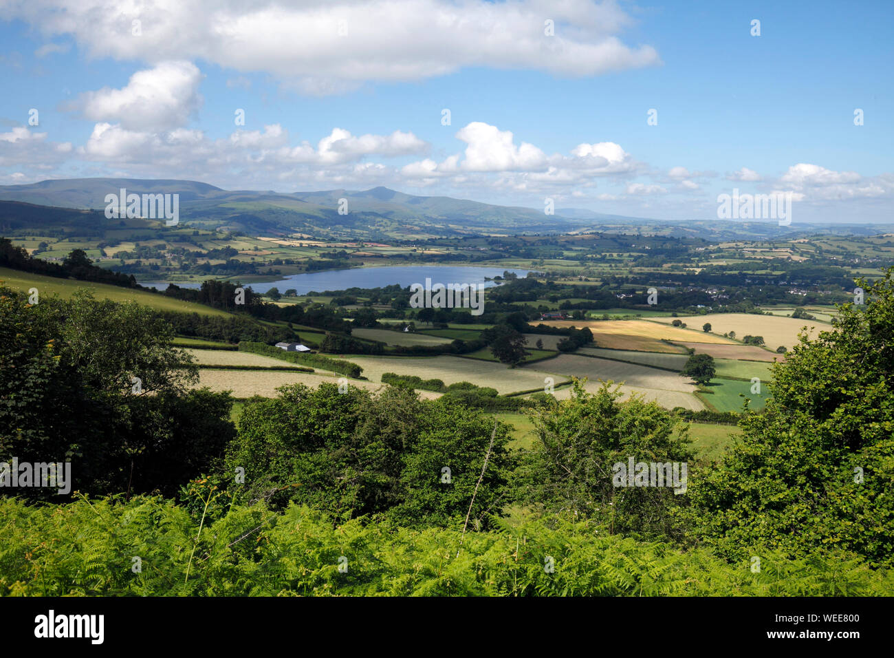 Llangorse Lake von mynydd LLangorse. Powys, Wales, Großbritannien Stockfoto