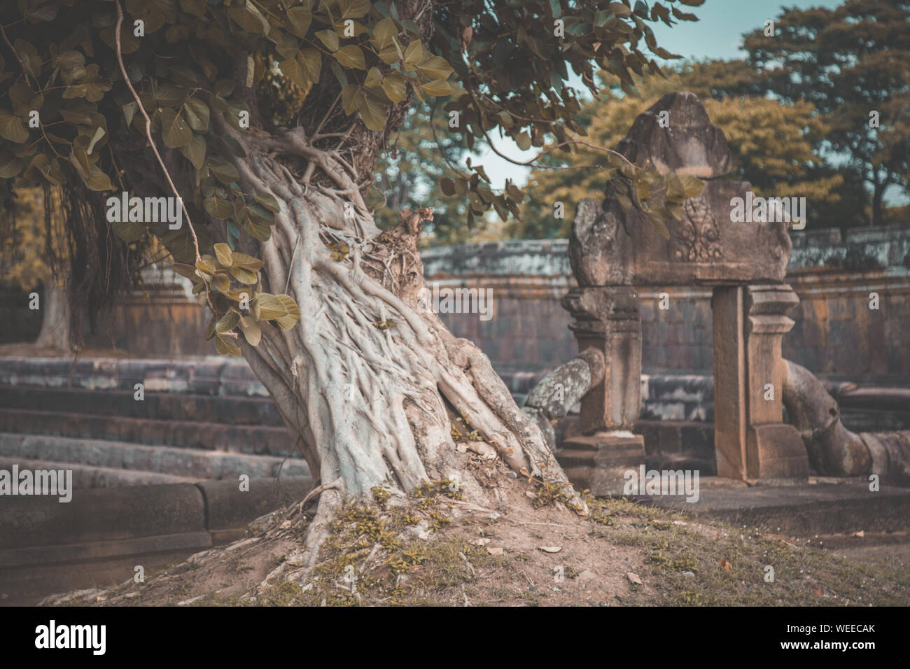 Phanom Rung Historical Park Luftaufnahme in Buriram, Thailand Stockfoto