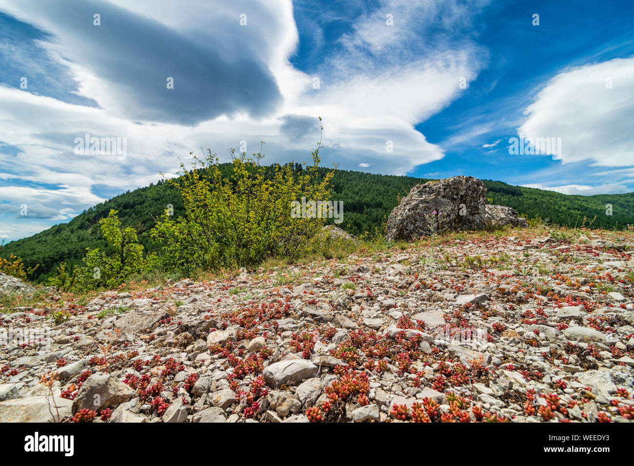 Windiges Wetter in der Provence, Frankreich. Landschaft Landschaft mit Rocky Road und windig Wolken Stockfoto
