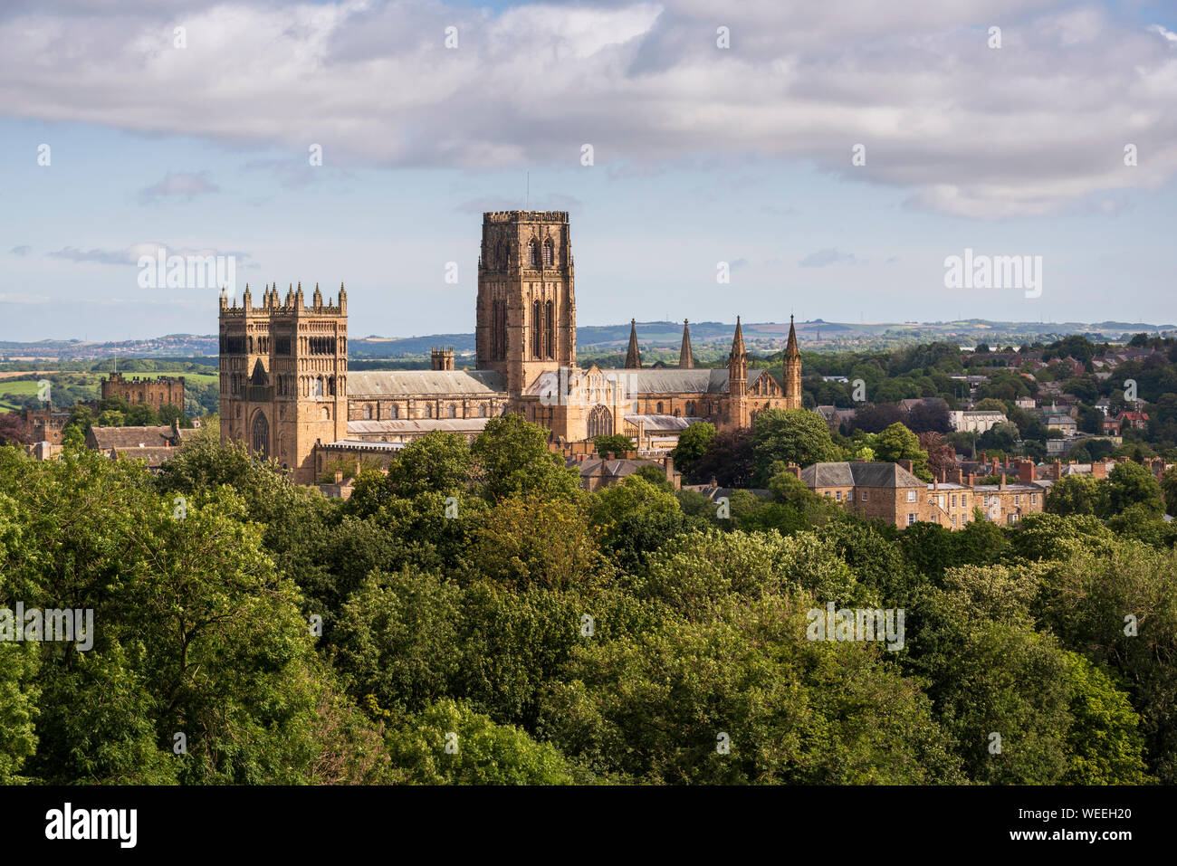Historischen christlichen Kirche - gotische Architektur von Durham Kathedrale überragt Waldflächen in der Stadt in der Grafschaft Durham Durham North East England Stockfoto
