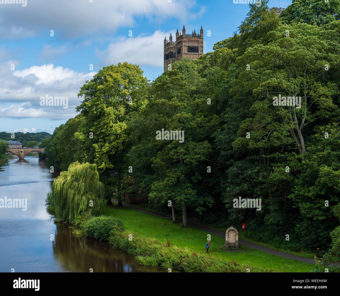 Fluss Wear und Wald in der Stadt Durham North East England Stockfoto