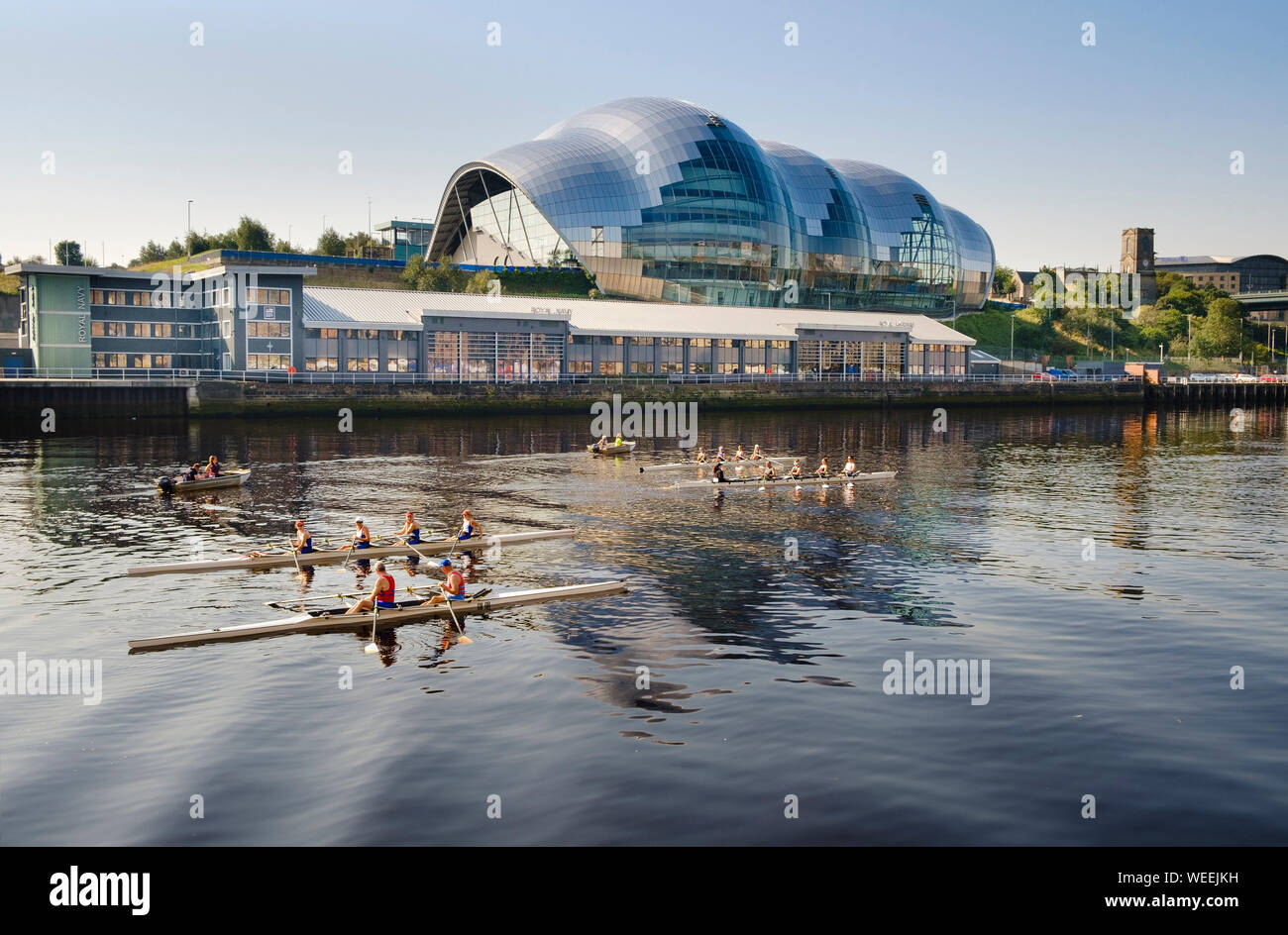 Fluss Tyne Rowing Club Aktivitäten auf dem Wasser zwischen Gateshead und Newcastle Stockfoto