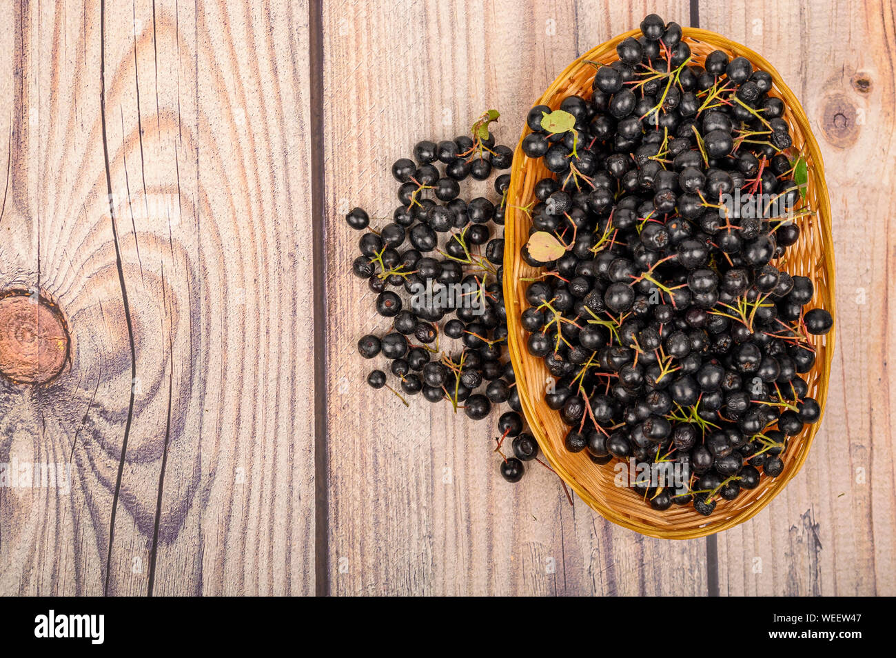 Reif Aronia Beeren in einem Weidenkorb auf dem Tisch. Stockfoto