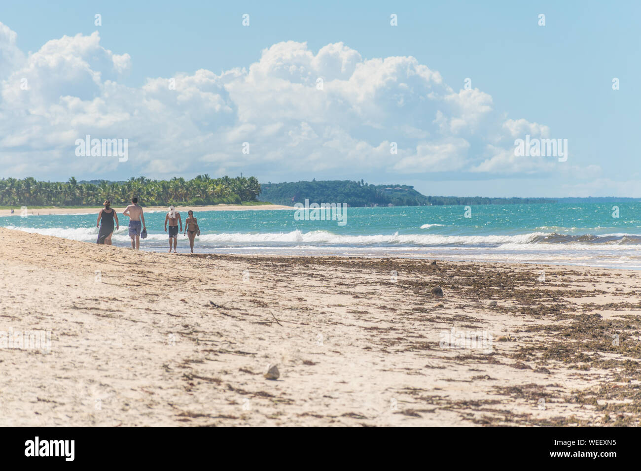 BAHIA, BRASILIEN - 27. Juni 2019: Übersicht über die Praia dos Nativos oder einheimischen Strand, mit braunem Seetang Festlegung in den Sand, einem klaren blauen Ozean und Mou Stockfoto