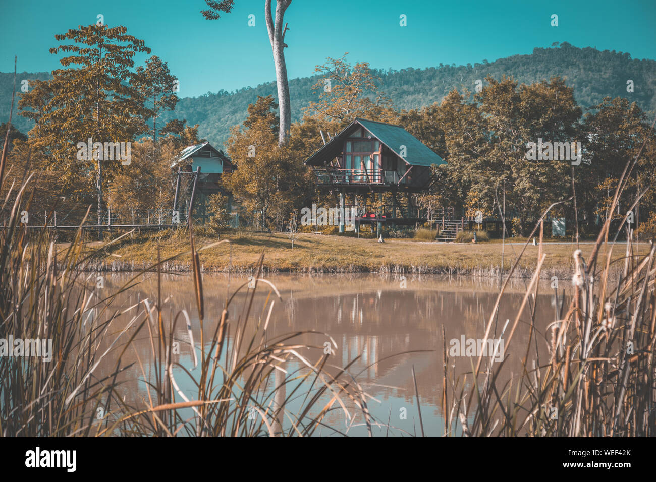 Khao Yai Nationalpark ansehen und Resort in Thailand Stockfoto