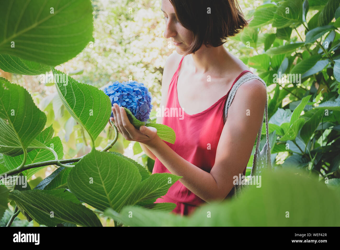 Mädchen und Pflanzen: Porträt einer schönen Frau unter grünen Blättern, die eine blaue Anlage. Schätzen, liebevolle Art Konzept: Junge weibliche steht Amon Stockfoto