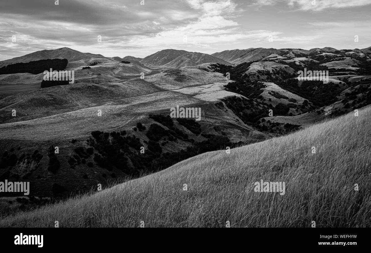 Neuseeland wunderschöne Landschaft, Port Chalmers, schwarz und weiß Stockfoto