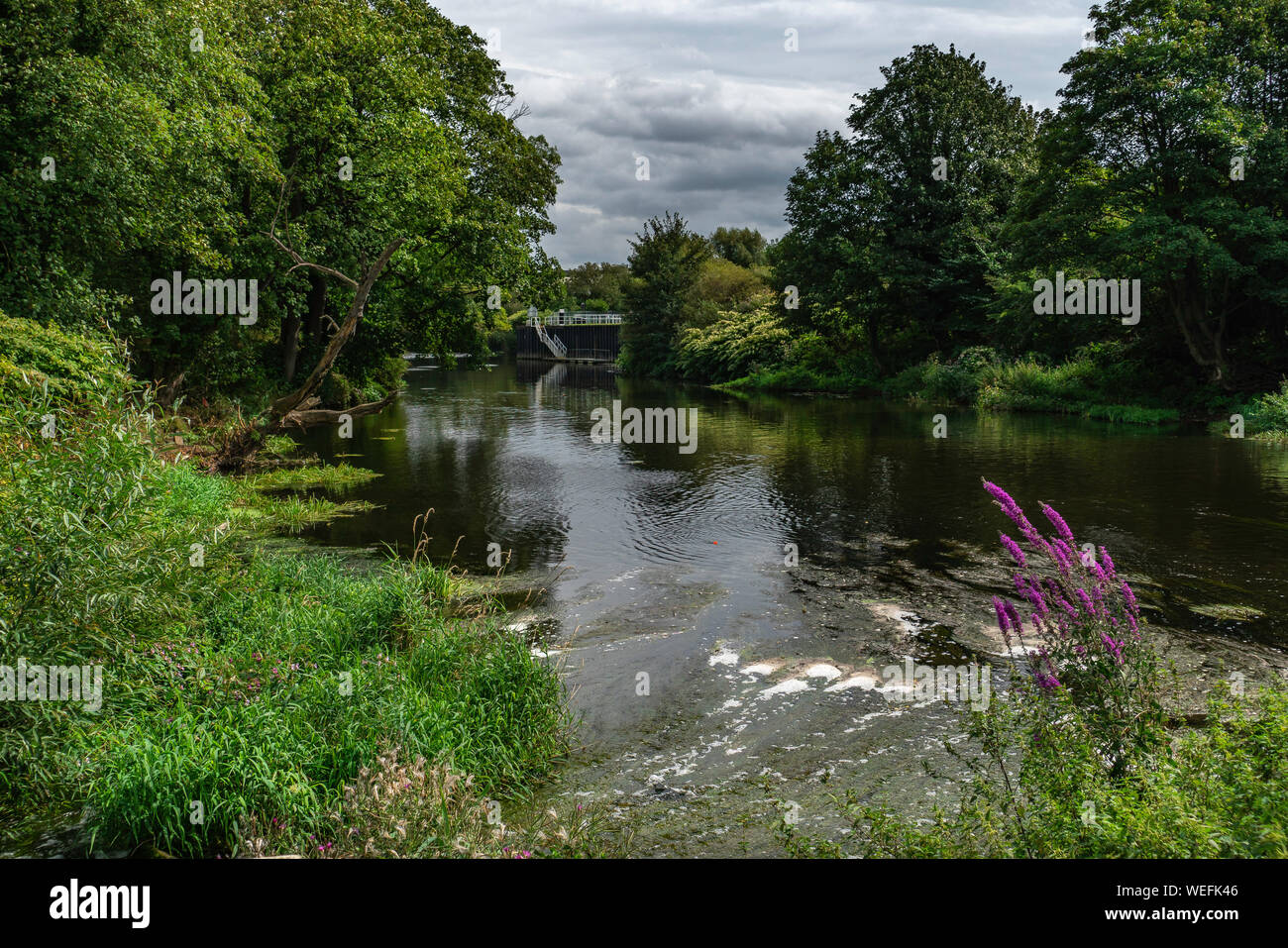 Aldwarke Wehr am Waschen, Rotherham, South Yorkshire. Stockfoto