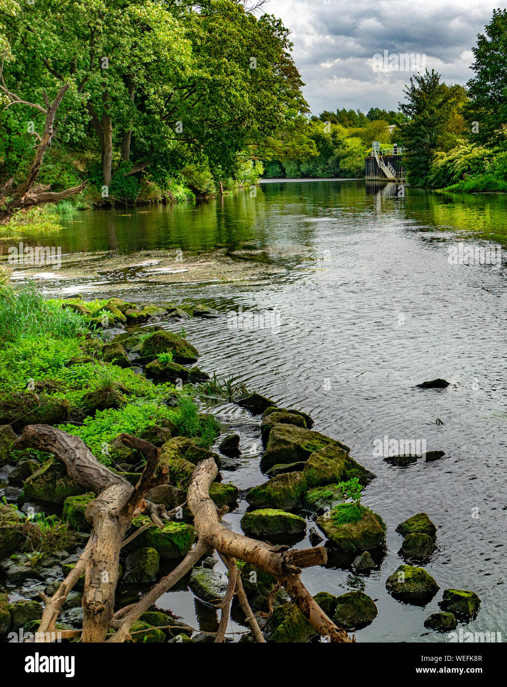 Aldwarke Wehr am Waschen, Rotherham, South Yorkshire. Stockfoto