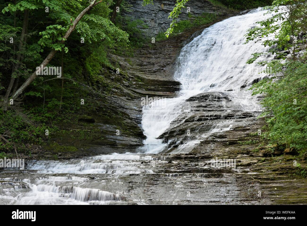 Eine von mehreren Kaskaden aus schönen Buttermilk Falls State Park zu erblicken, in Ithaca, NY gefunden Stockfoto