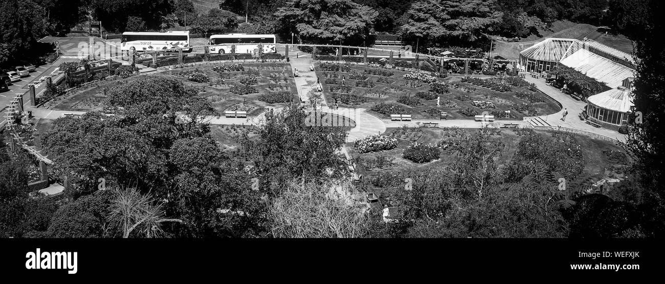 Wellington, Neuseeland wunderschöne Landschaft, botanische Gärten Stockfoto