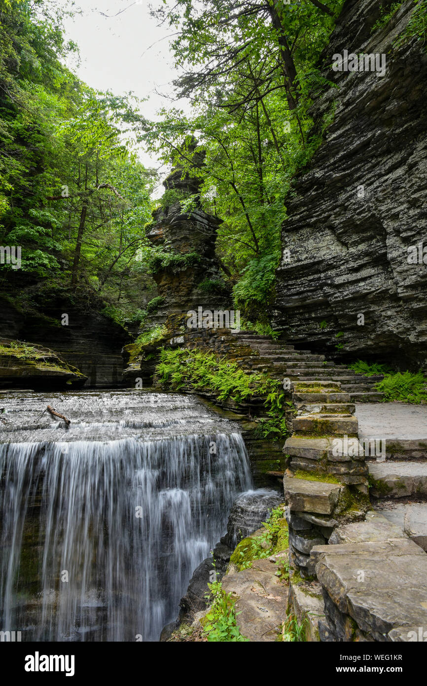 Stein Wege und Treppen bieten Zugang zu den 500 ft Abstieg von mehreren Kaskaden in Buttermilk Falls State Park. Stockfoto