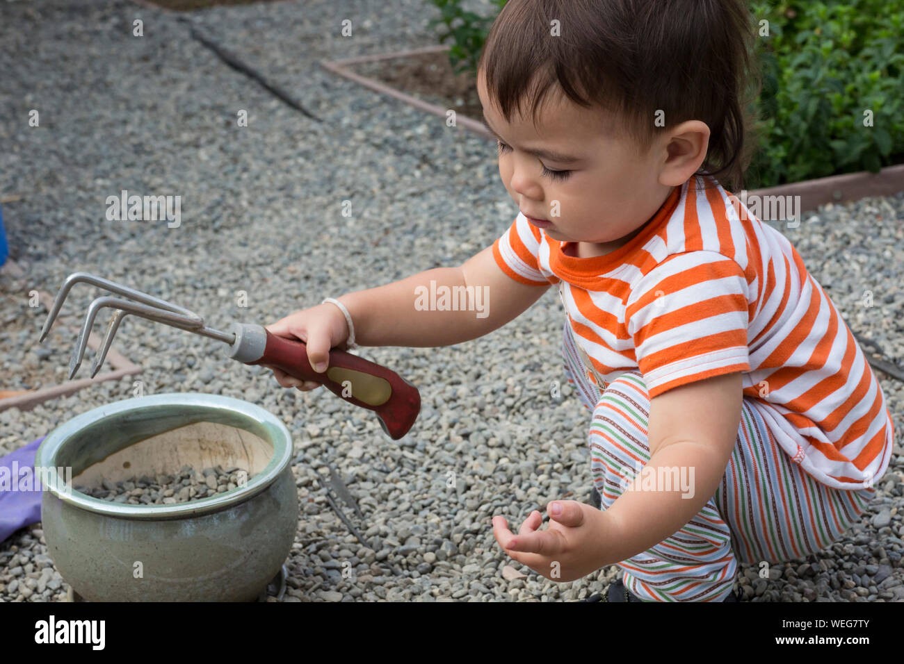 Zwei Jahre alter Junge von asiatischen Aussehen Gartenarbeit in den Hinterhof, San Jose, Kalifornien Stockfoto