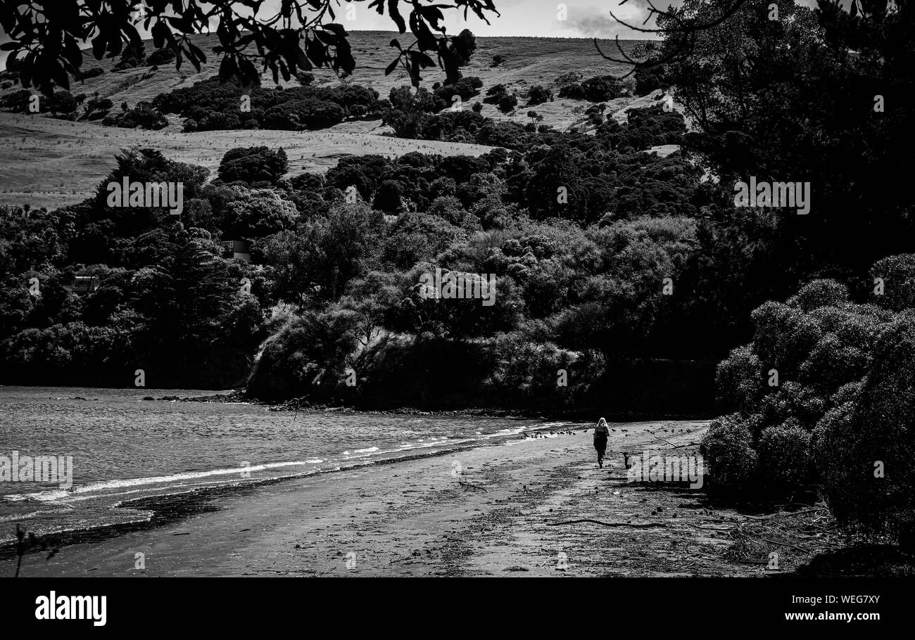 Neuseeland schöne Landschaft, Akaroa, Christchurch, Person geht Hund Stockfoto