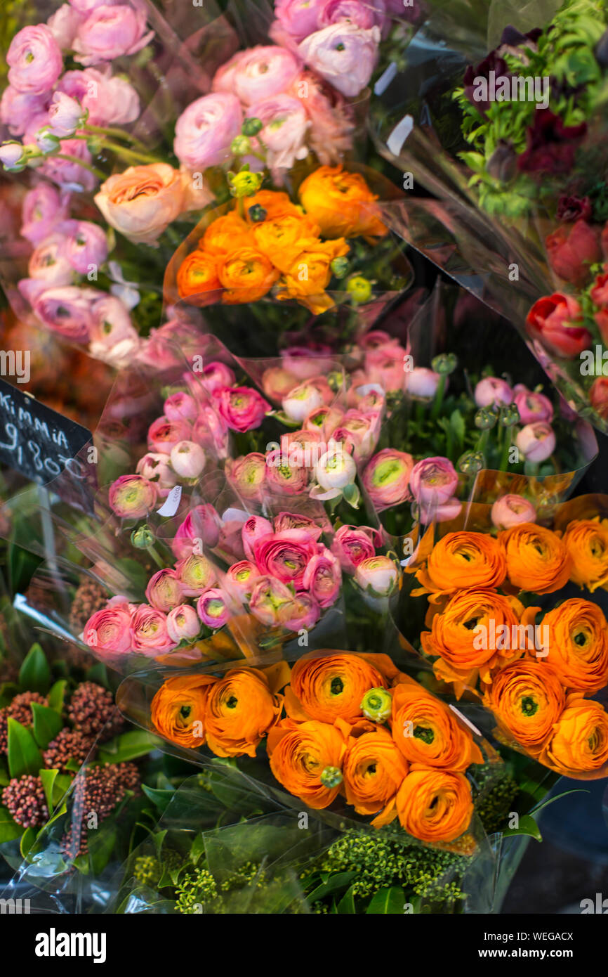 Rosen in einem Blumenladen in Paris, Frankreich Stockfoto