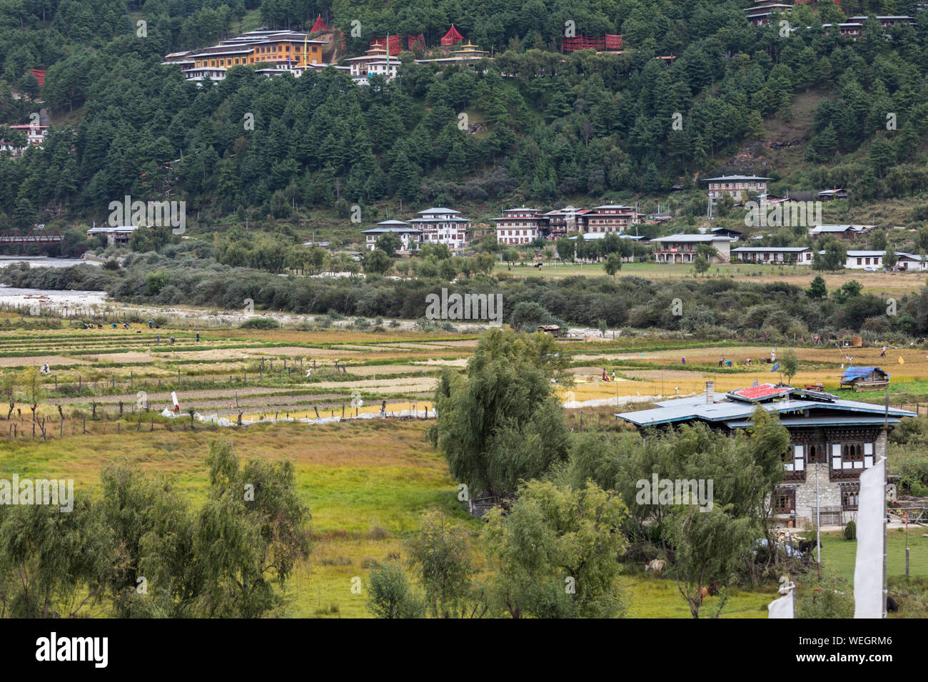 Landwirtschaftliche Flächen, Gebäude und Fluss in Jakar, Bumthang, zentrale Bhutan Stockfoto