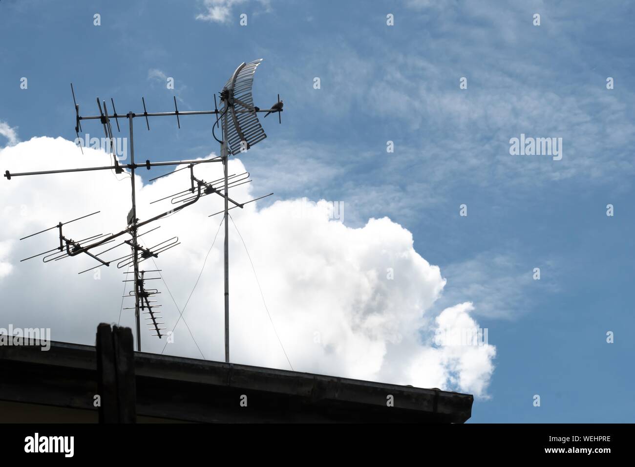 Analoges Fernsehen Antenne auf dem alten Dach mit Taube und blauer Himmel Stockfoto