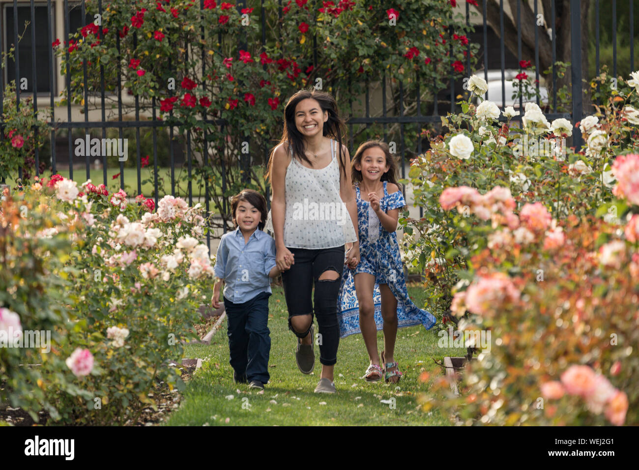 Schwestern und Bruder von Asiatischen und gemischte Ethnie laufen und gemeinsam lachen in Rose Garden, San Jose, Kalifornien Stockfoto