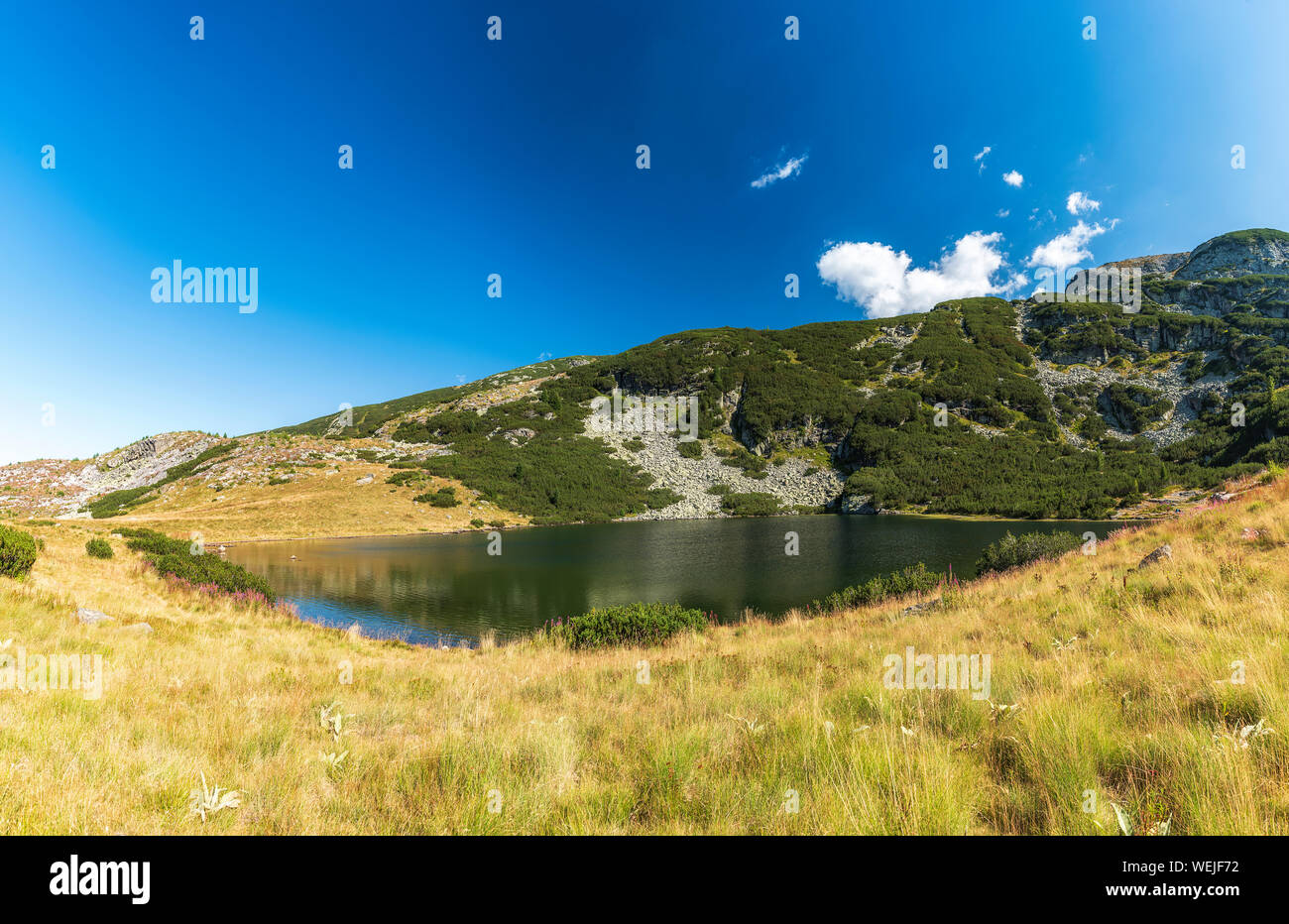 Bergsommer Landschaft Panoramablick mit schönen Yonchevo See, Rila Nationalpark, Bulgarien Stockfoto