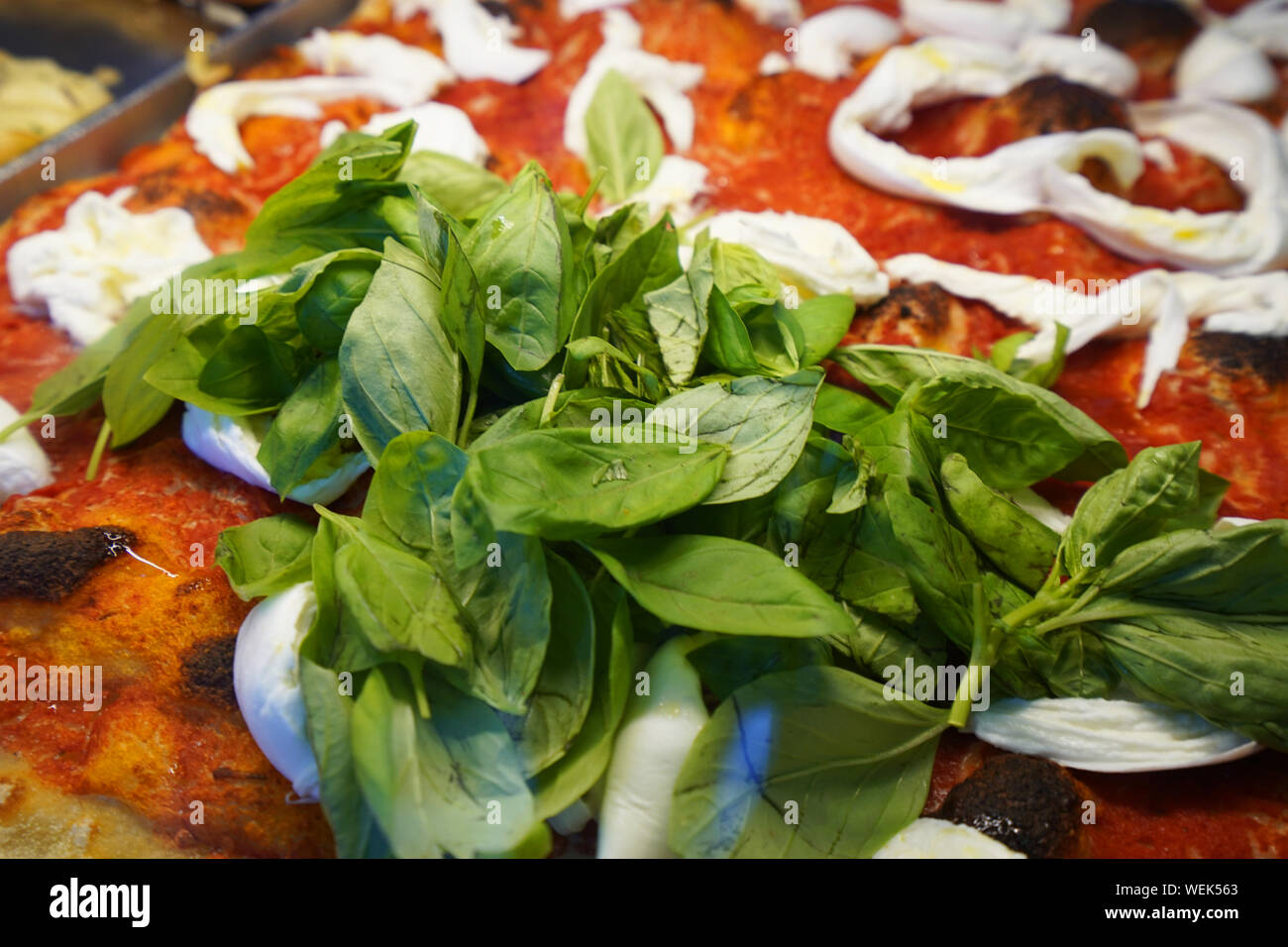 Frisches Basilikum und Mozzarella auf Margherita Pizza, Rom, Italien Stockfoto