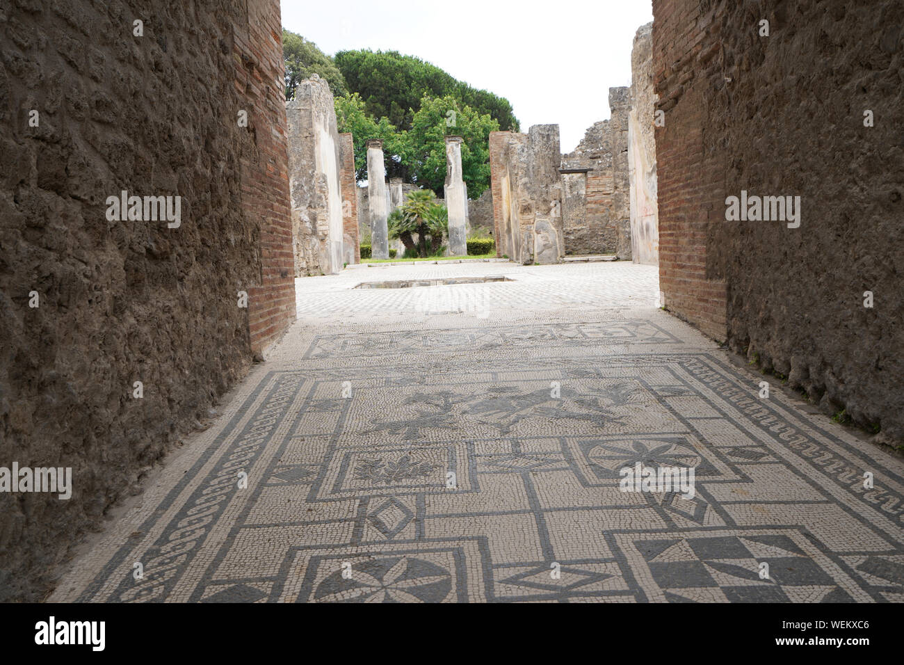 Antike Mosaik, Pompeji, Italien Stockfoto