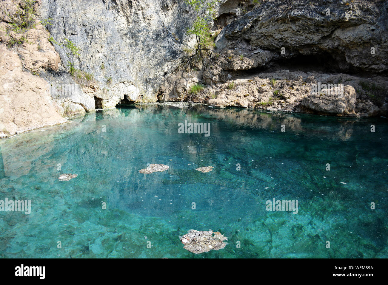 Natürliche heiße Quellen mit leuchtend grünen Wasser Stockfoto