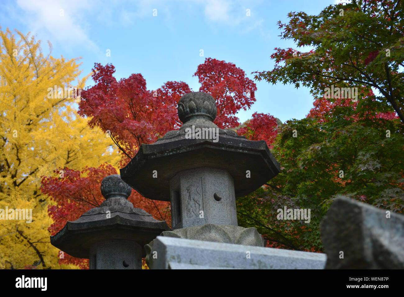 Japanische Steinlaternen mit farbenfrohen Ahornbäumen Stockfoto