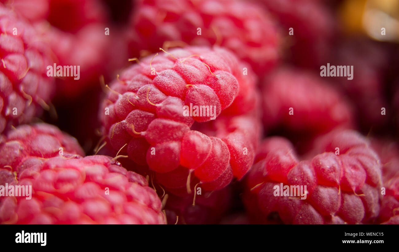 Vitamine. Sommer Beeren. Himbeeren Hintergrund. Close Up, selektiver Fokus Ernte Konzept. 16:9-panoramaformat Stockfoto