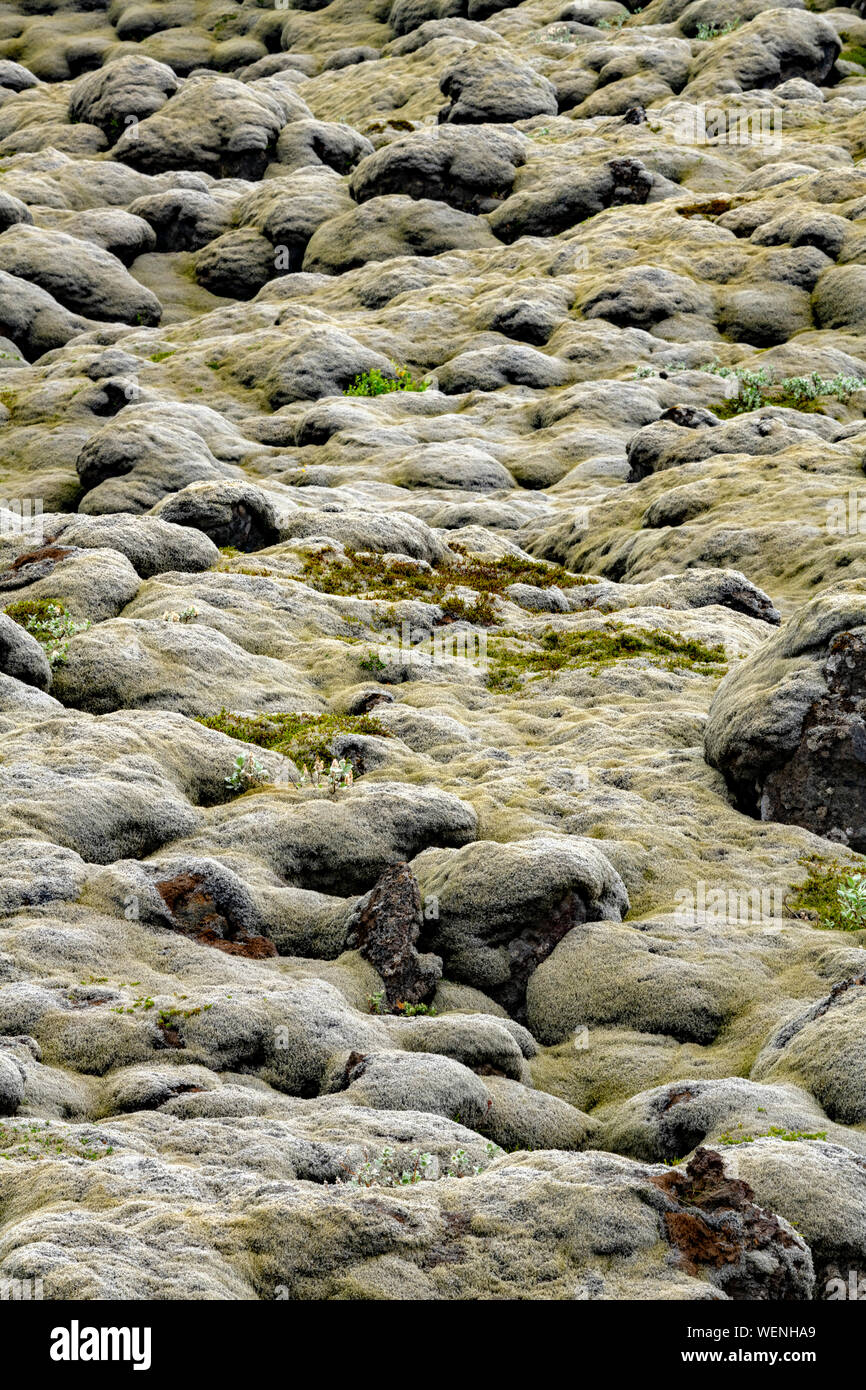 Alte Skaftarhreppur bemoosten Lavafeld und Geopark in der Nähe von Kirkjubaejarklaustur, Island Stockfoto