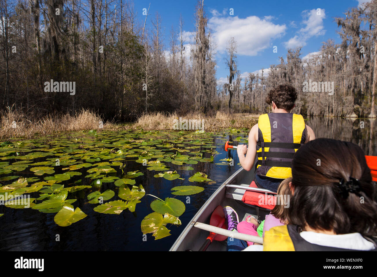 Familie Kanu obwohl die Okefenokee in Georgia, USA Sumpf Stockfoto