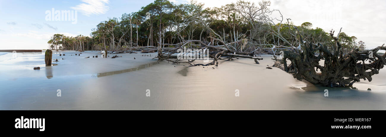 180 Grad Panorama von Strand und See Wald Stockfoto