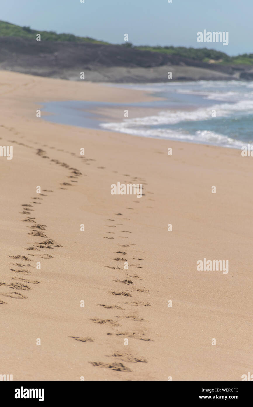 Ein nasser Sand, der brasilianischen Atlantik schaumig ist, ein Zickzack der menschlichen Fußabdruck im Sand machen Sie einen Anschluss an das Ende der Strand bei Paulo Cezar Vinha p Stockfoto