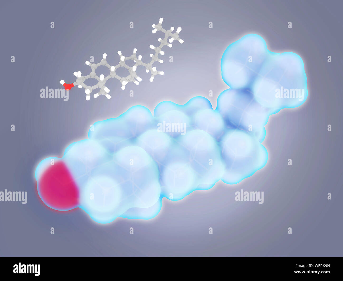 Cholesterin Moleküle, Abbildung Stockfoto