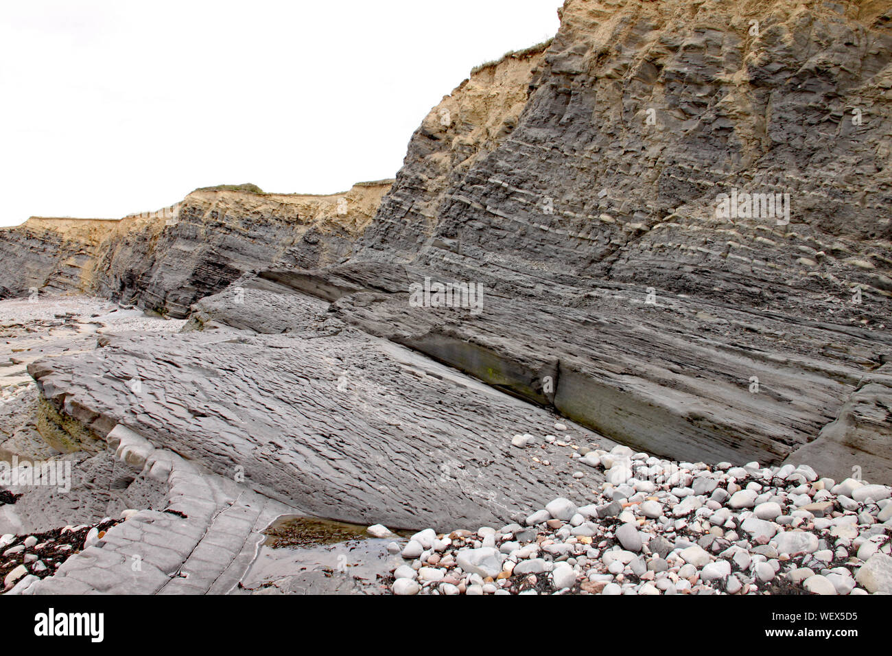 Die Klippen am Kilve Beach in der Nähe von East Quantoxhead in Somerset, England. Geschichtete Gesteinsschichten der Jurazeit Ära und sind ein Paradies für f Stockfoto