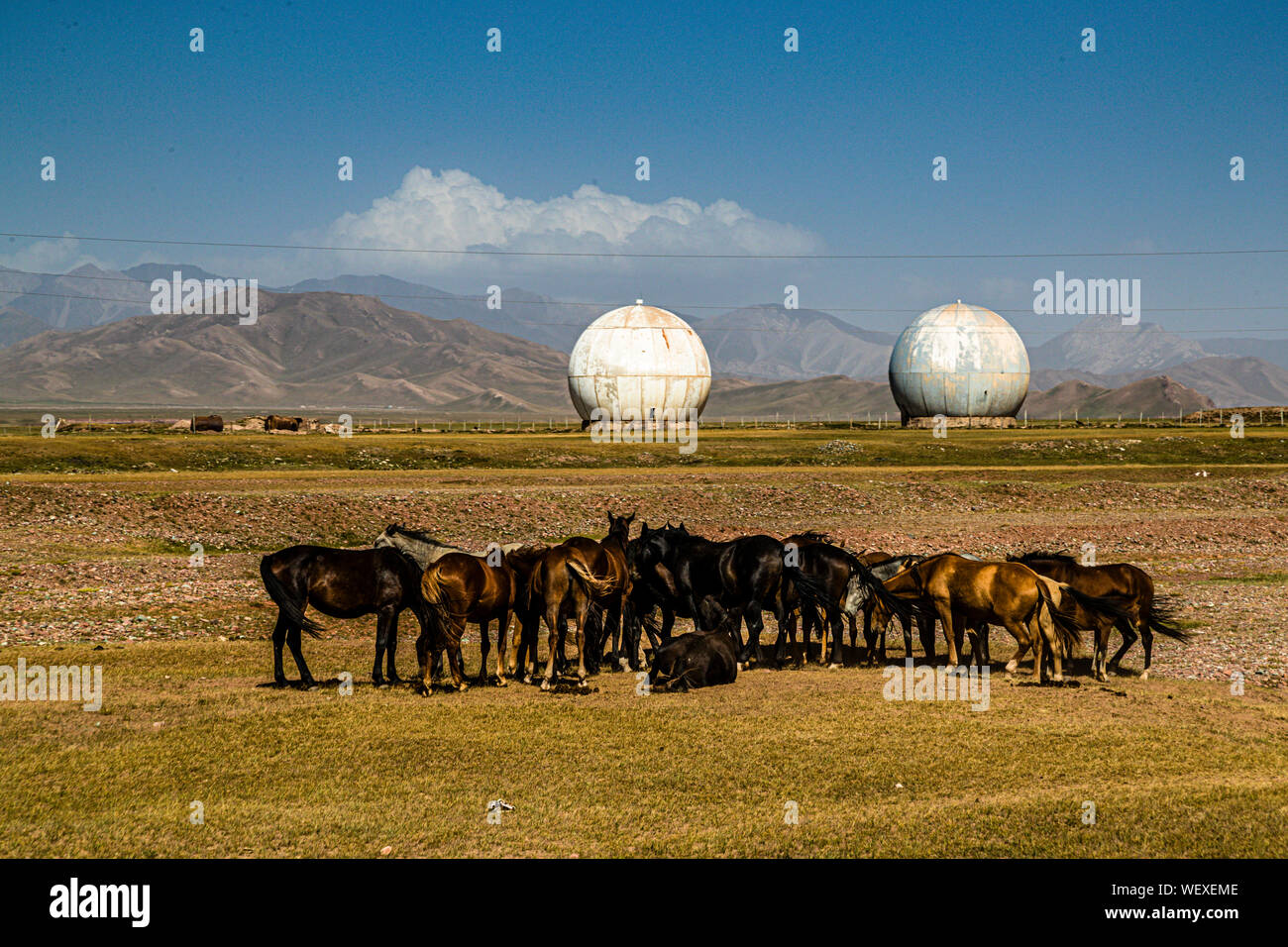 Auf dem Hochplateau zwischen dem Pamir- und dem Tian Shan-Gebirge grasen kirgisische Pferde vor einer verlassenen sowjetischen Radarstation auf der Seidenstraße bei Kektyube, Kirgisistan Stockfoto