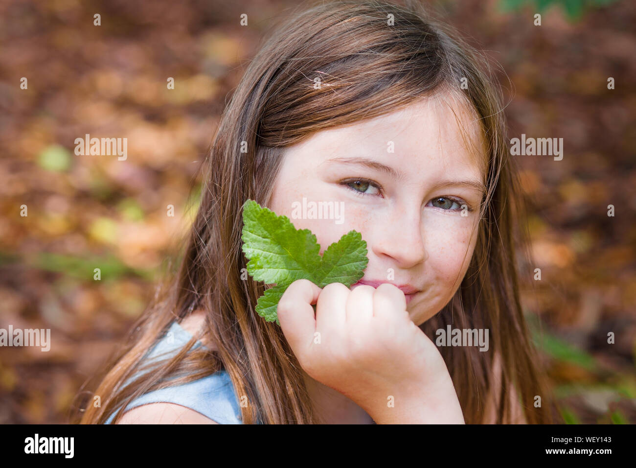 Portrait eines Mädchens mit langen braunen Haaren, lächelt in die Kamera und Halten ein Blatt, in einem Wald, mit Herbst bunte Blätter im Hintergrund, in Sonoma Stockfoto