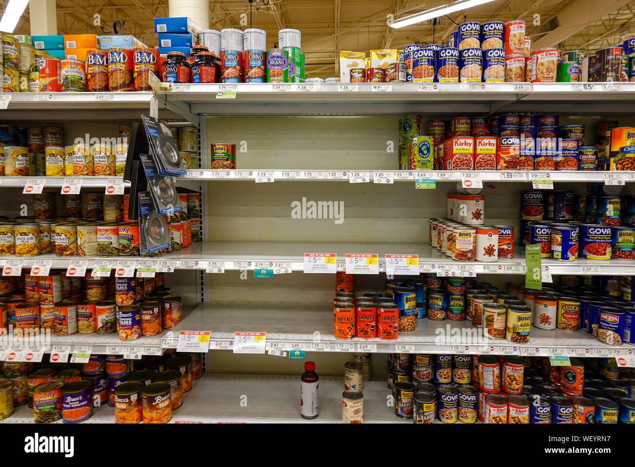 Orlando, FL/USA -8/30/19: Leere Lebensmittelgeschäft Regale von Konserven vor einem Hurrikan oder Schneesturm. Stockfoto