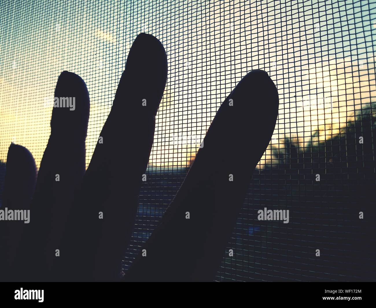 Zugeschnittenes Bild von Silhouette Hand auf Net bei Sonnenuntergang Stockfoto