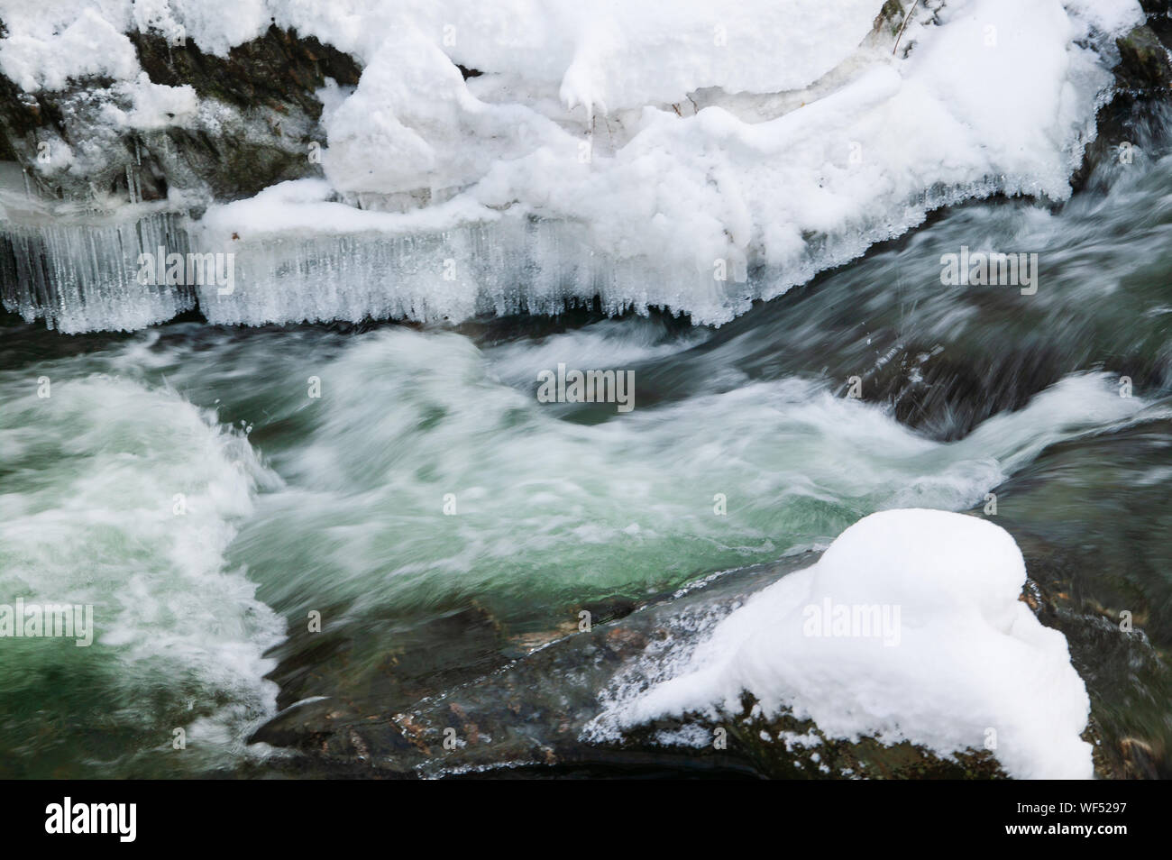 Schneebedeckte Bäume über Goldbrook Bach mitten im Winter, Stowe, Vermont, USA Stockfoto