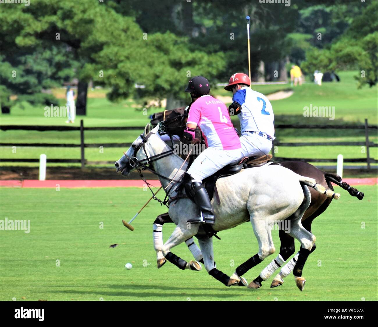 Polo Event Stockfoto