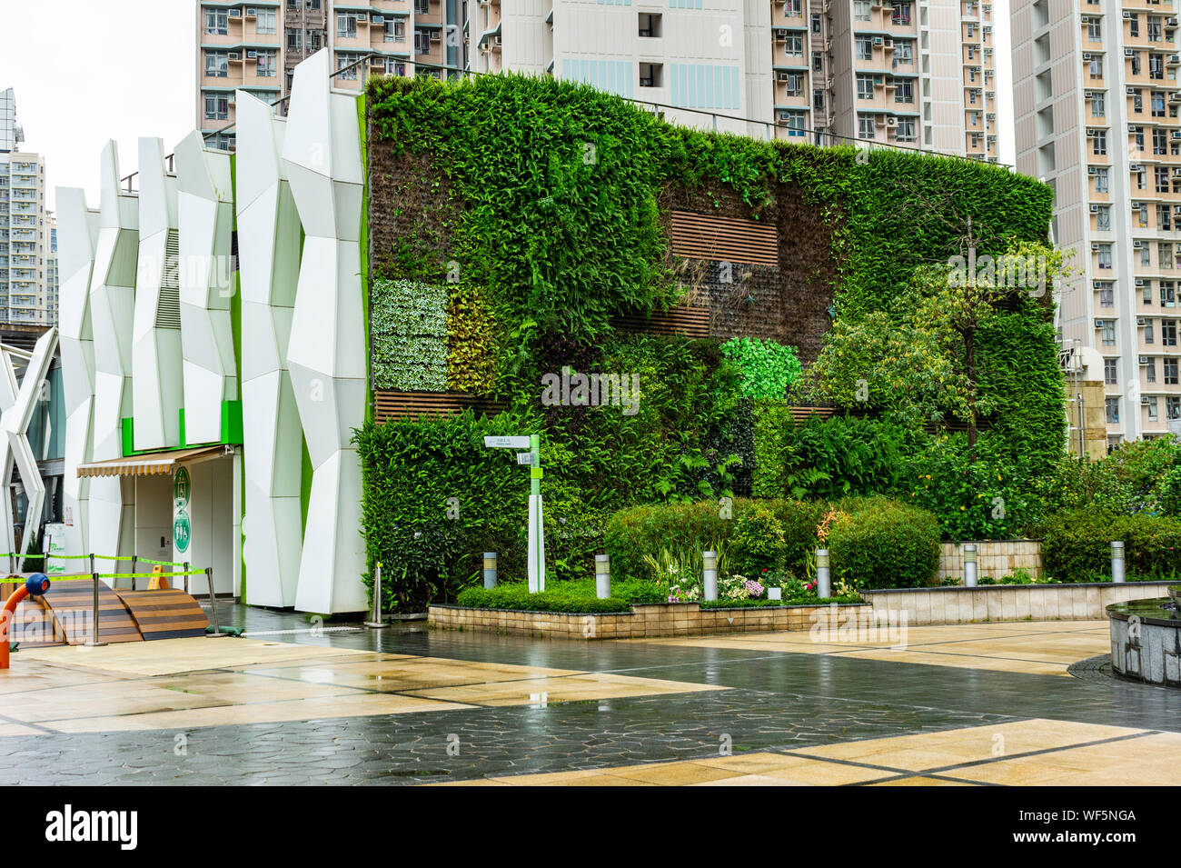 Vertikale Garten, grüne Wand in Hongkong Stockfoto