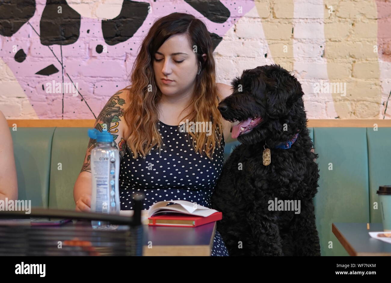 Ney York City, NY/USA - 29. Juni 2019: Junge Frau und ihr Hund Zeit miteinander zu verbringen bei einem Hund Cafe Stockfoto