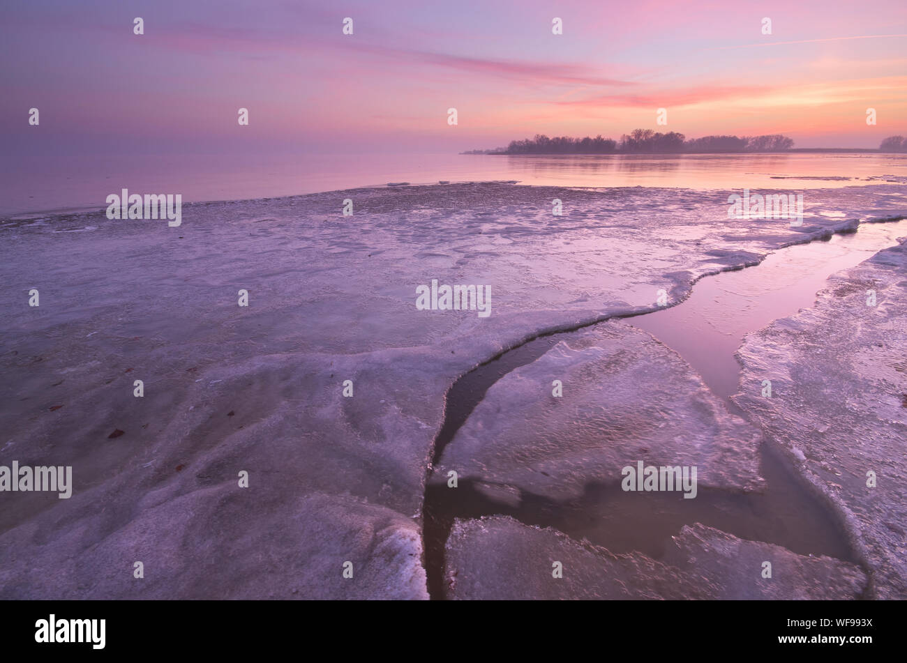 Eisigen morgen. inter Natur Zusammensetzung. Conposition der Natur. Stockfoto